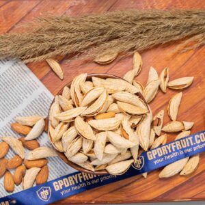 Almond (Afghani Logari )